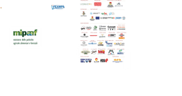 FEAMPA